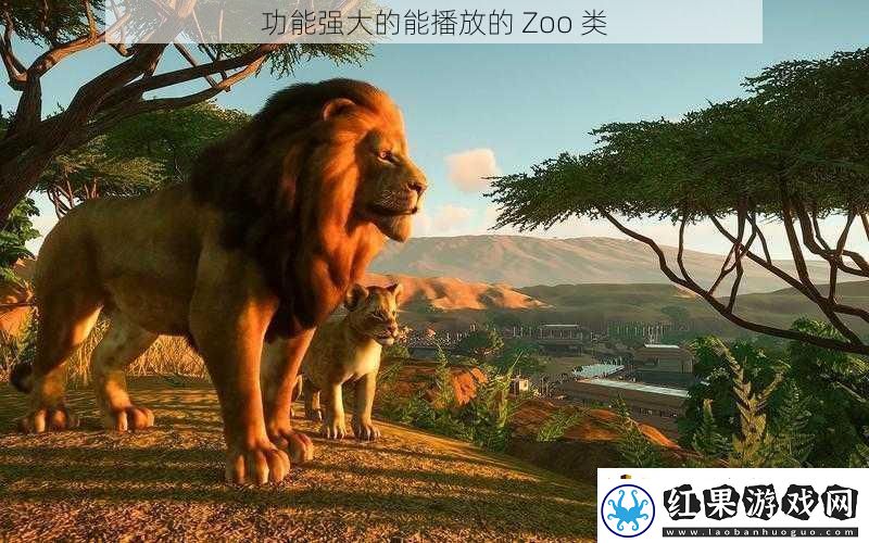 功能强大的能播放的