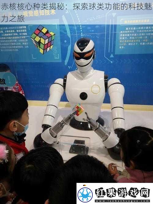 赤核核心种类揭秘