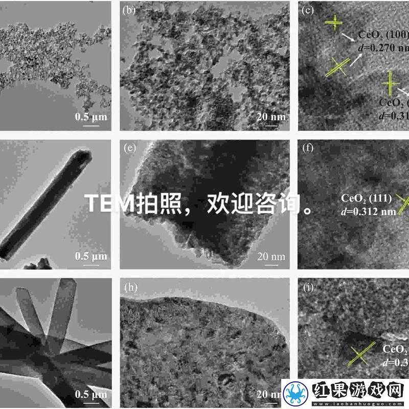 Temtem游戏中状态效果全面解析，了解各种状态及其对战影响