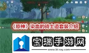 原神血染骑士套在哪里获取