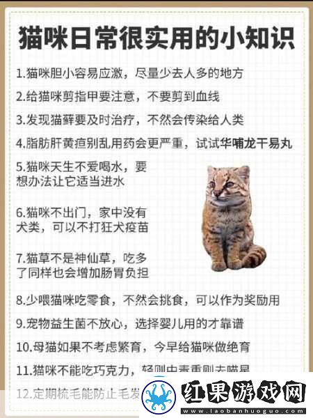 小猫咪大城市日常美容动作怎么获得1.小猫咪日常美容秘籍