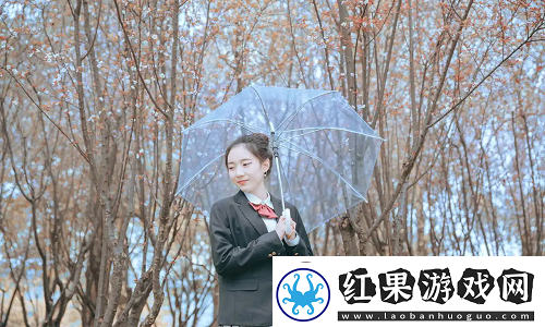 日本免费三色电费2024年
