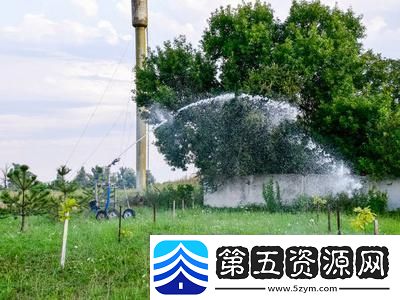 被系统浇灌的日常