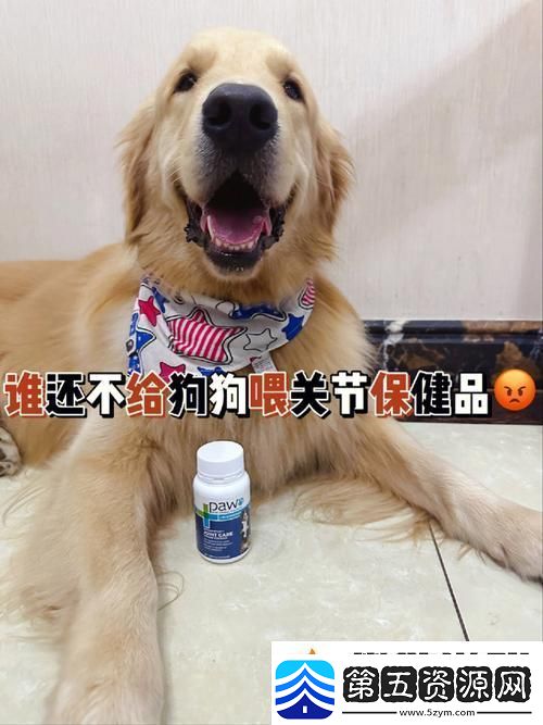 人狗胶配方大全狗狗一
