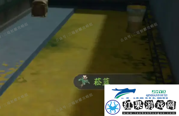 射雕手游西街梦华录位置收集攻略