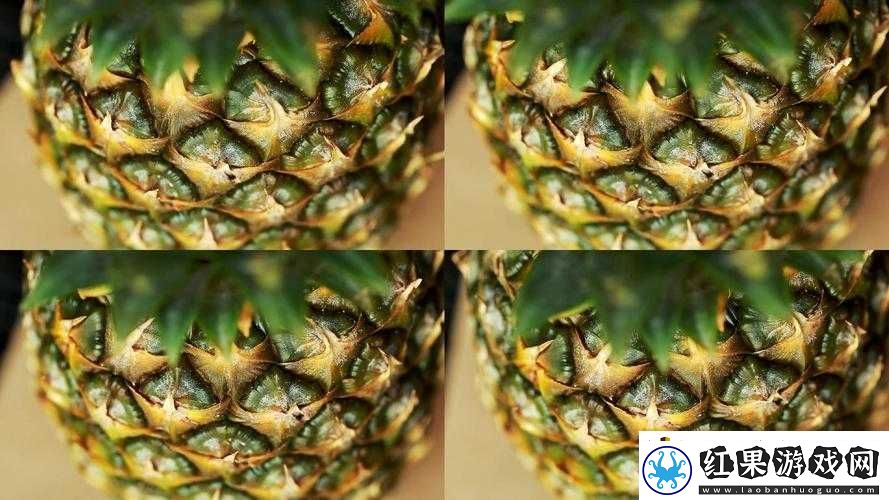 菠萝视频免费高清观看完整版在线