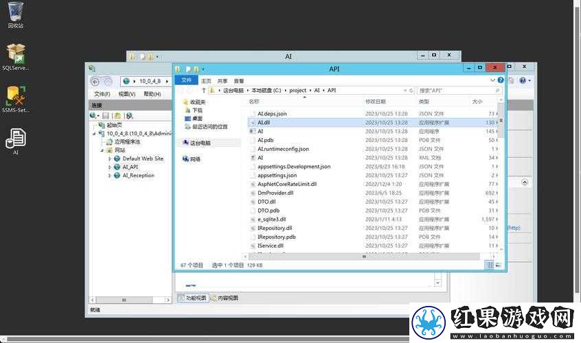 老奶奶VPSWindows