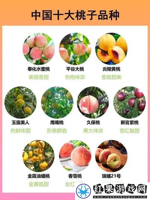 水蜜桃一品二品