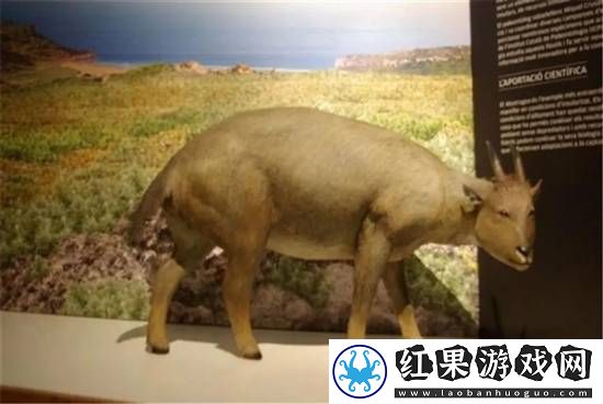 独特的“冷血山羊”长着一张人脸