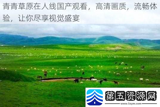 青青草原在人线国产观看高清画质流畅体验让你尽享视觉盛宴