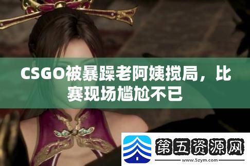 暴躁老阿姨玩CSGO网友
