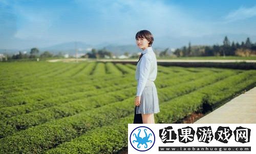 亚洲一码和欧洲二码的尺码区别