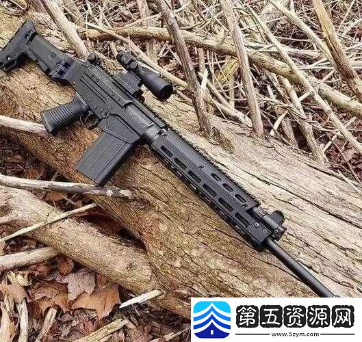 全民枪战游戏中冷门步枪全面介绍及其独特优缺点深度剖析