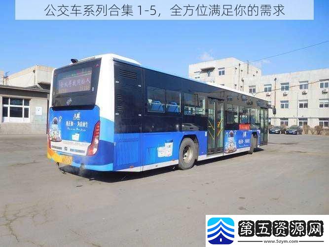 公交车系列合集15全方位满足你的需求
