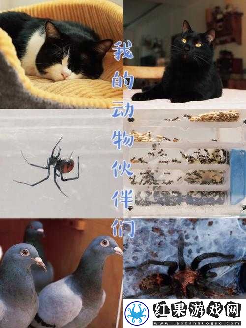 ZoomZookeeper 动物