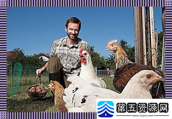 潮起禽落