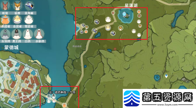 原神小动物分布位置大全
