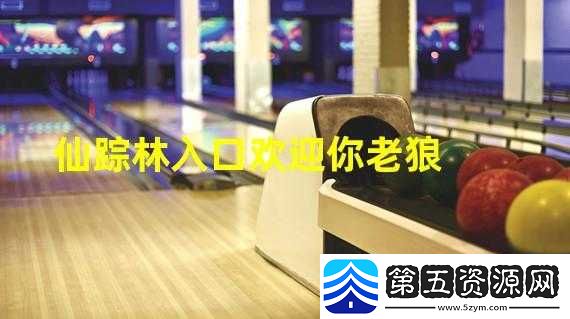 仙踪林视频站