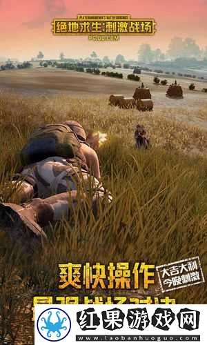 绝地求生刺激战场四排夺冠心得分享