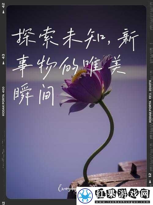 chengrengwang