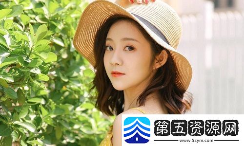高清码免费下载
