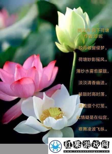 两瓣红莲今夜开一池碧水盼君浴诗词