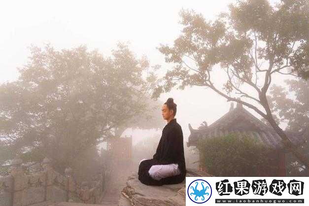 修仙梦离线打坐