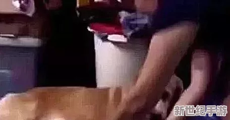 四女炕上交换玩