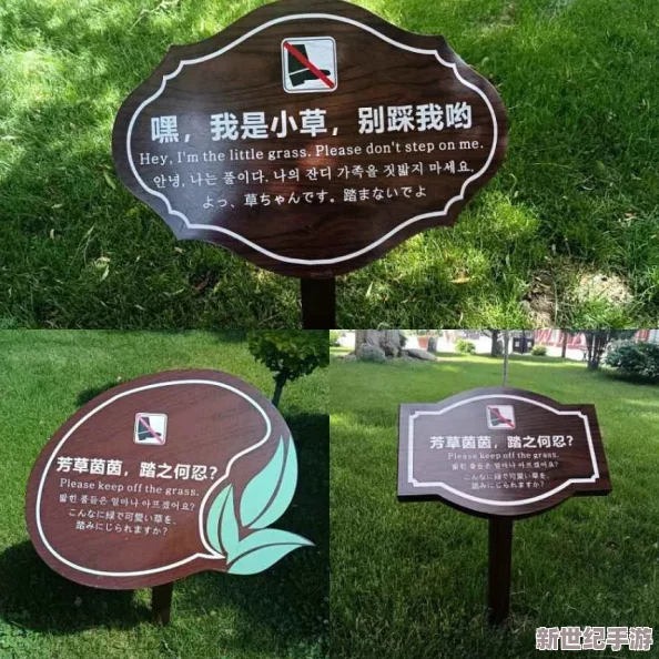“亚洲国产欧洲精品路线久久”引发全球旅游热潮