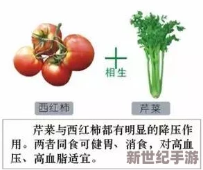 1314苦瓜网