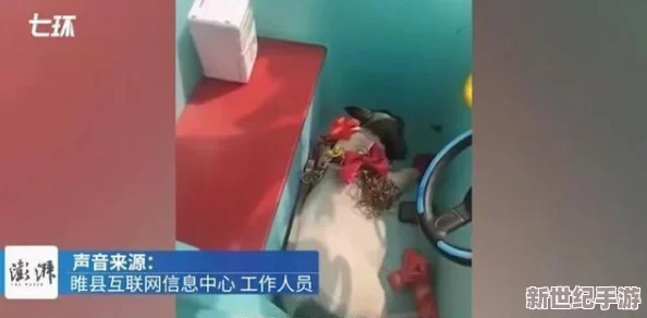 特别黄的片段网友认为这种内容过于低俗