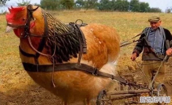 大粗鳮巴r