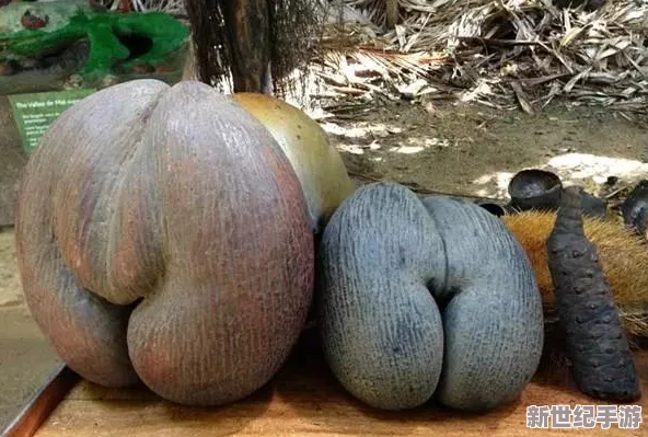 大粗鳮巴r