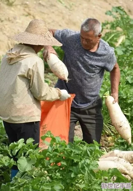 在乡村的黄昏下