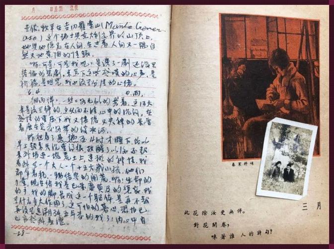 小诗的公交车日记