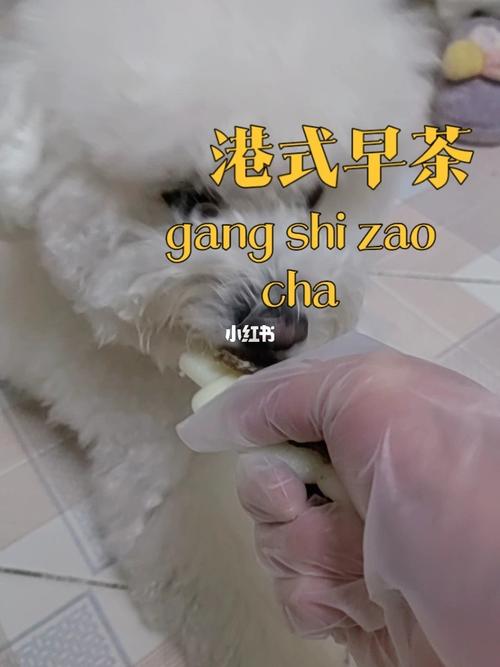 狗狗和人胶配方大全高清大片