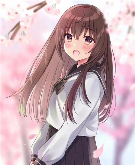 BY2282鱿鱼