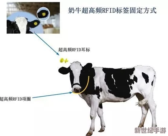 Zookeeper最新农场