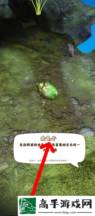 【道具合成】夺笋高手怎么抓虫