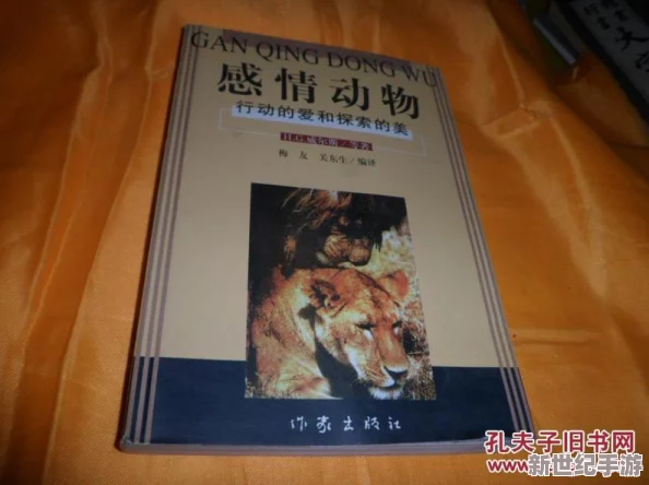 探索四虎激情