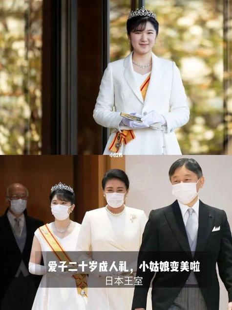 公主成年礼共大臣使用