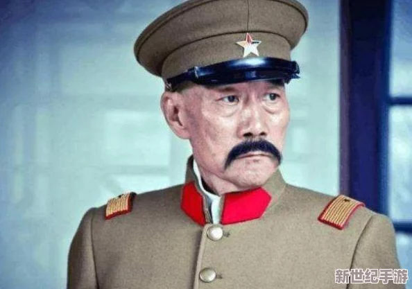 探索日本农村寡妇的生活与情感