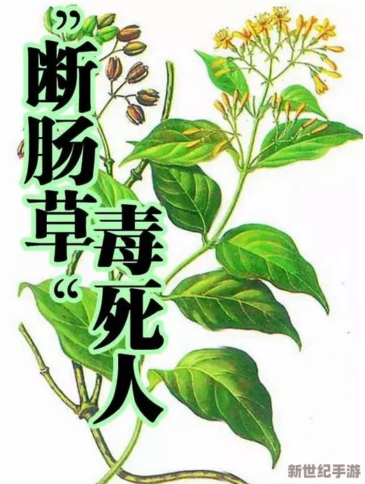 国产精品嫩草影视在线观看