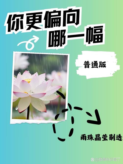 老人船上弄雨婷最经典的一句