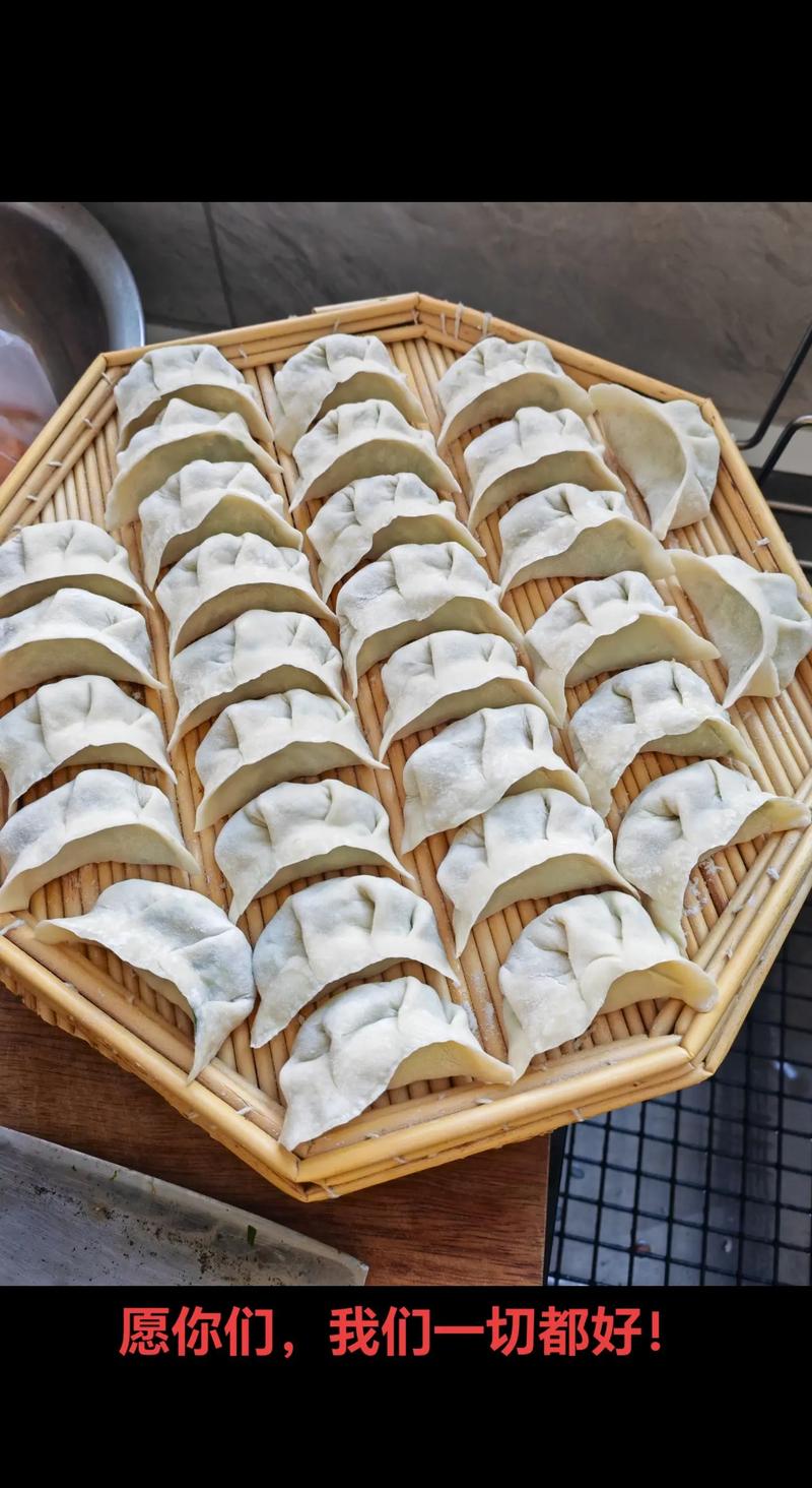 梁教授要稳住肉馅小水饺视频