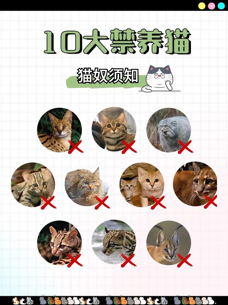 夜里禁用十大站