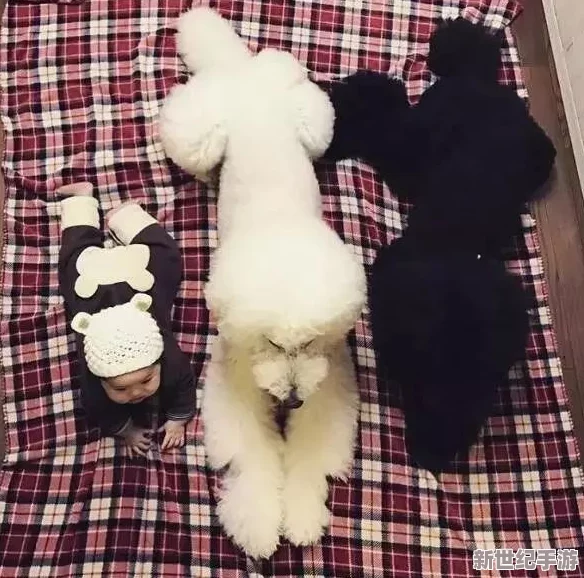 老头老太做爰xxxx视频