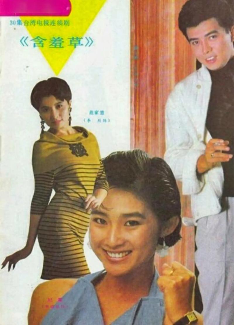 含羞草电视剧免费观看
