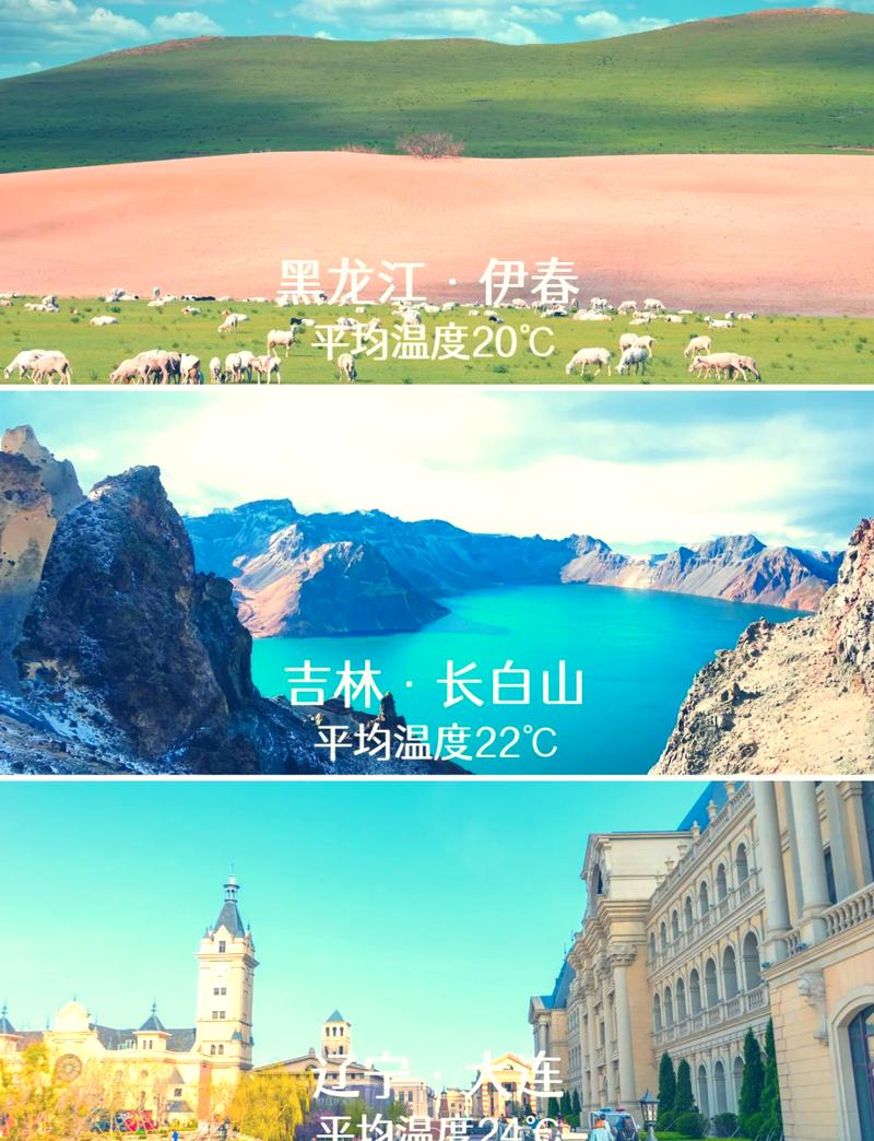 伊春园2025入口直通大象