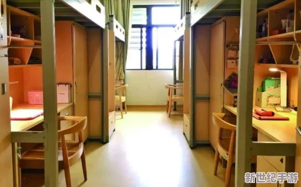 506寝室的灯灭了以后第9部分